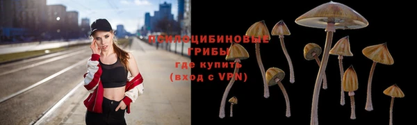 скорость Пестово