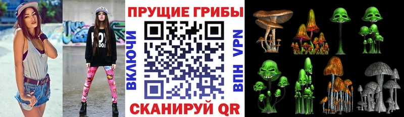 дарнет шоп  Кропоткин  Галлюциногенные грибы Cubensis 